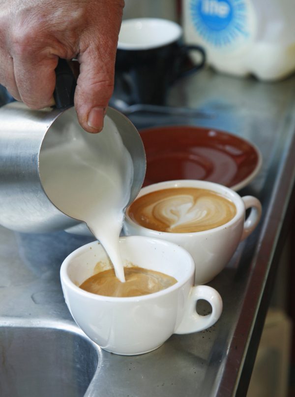 Organic - Coffee Lala - Coffee Beans, Hot Chocolate, Machines, Grinder, and More - Coromandel, NZ
